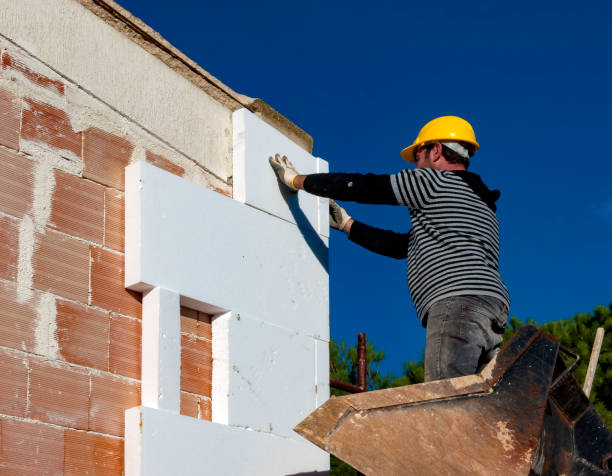 Best Specialty Insulation in Meridian, MS