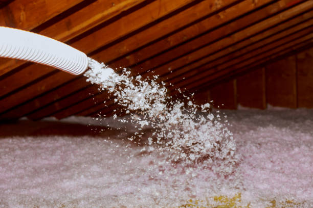 Best Energy Efficiency Solutions in Meridian, MS