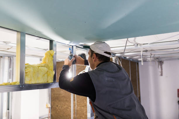 Best Energy Efficiency Solutions in Meridian, MS