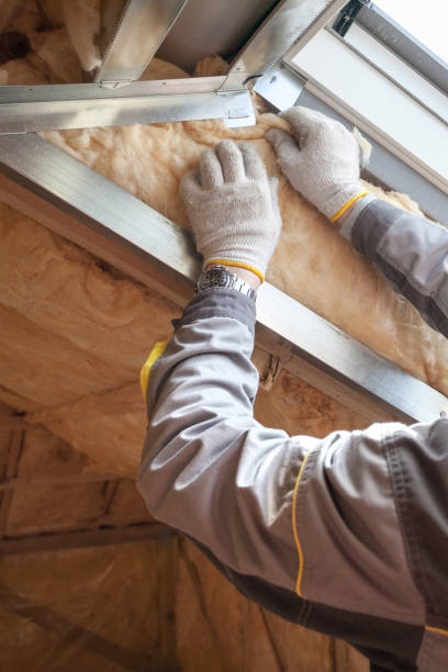  Meridian, MS Insulation Contractor Pros